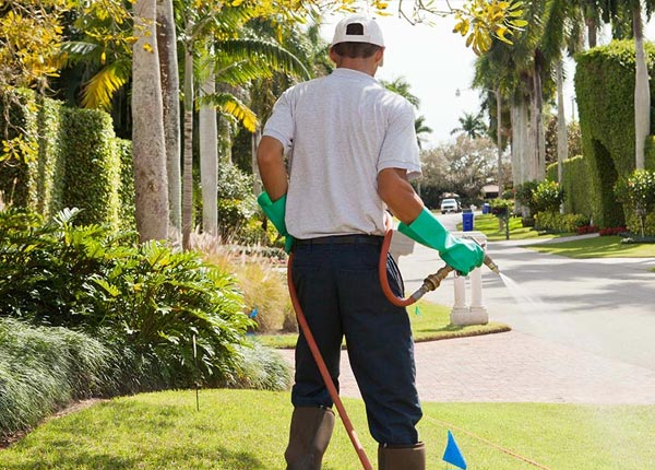 About Orlando OK Pest Control